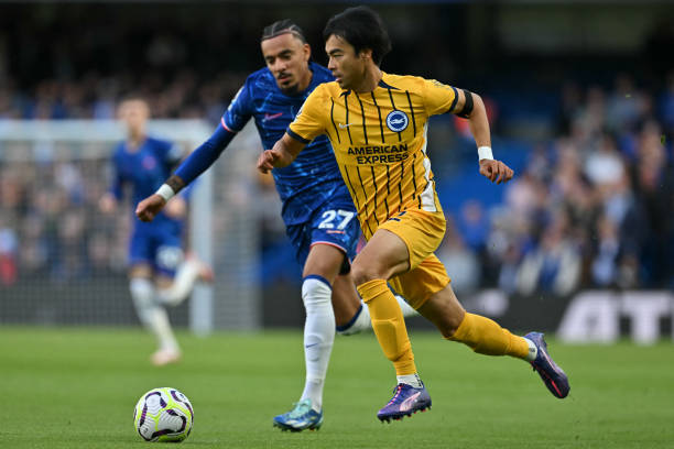 育版图扩展 育版图扩展